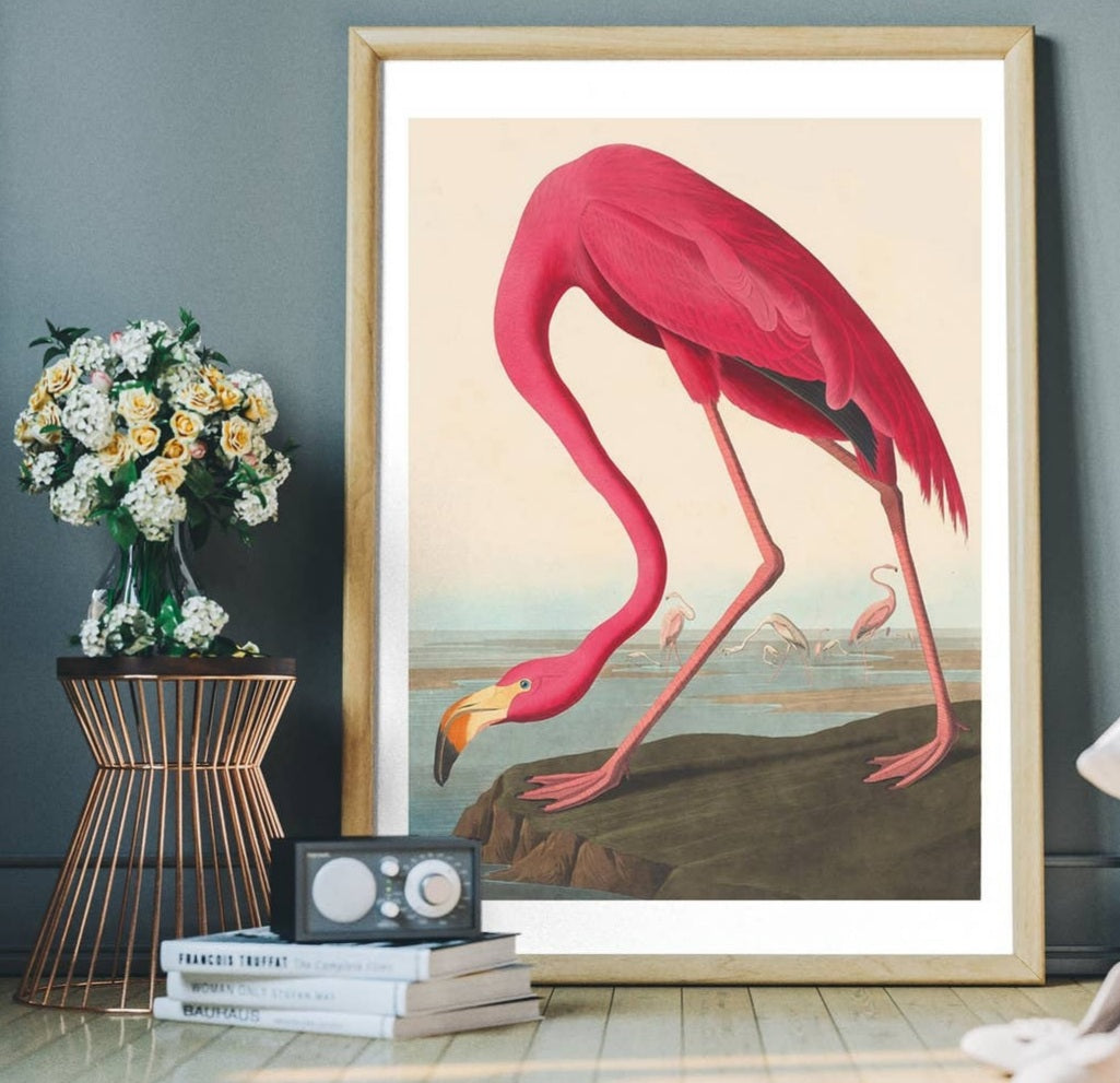 Pink Flamingo Framed Wall Art FREE UK Delivery