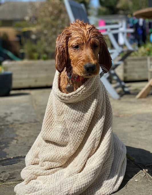 Dog Snuggle Bundle    FREE UK Delivery