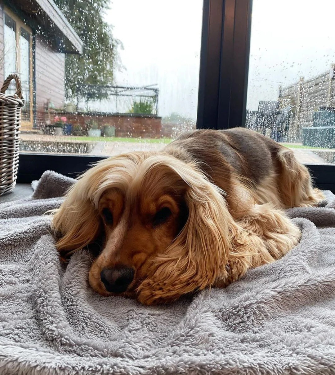 Dog Snuggle Bundle    FREE UK Delivery