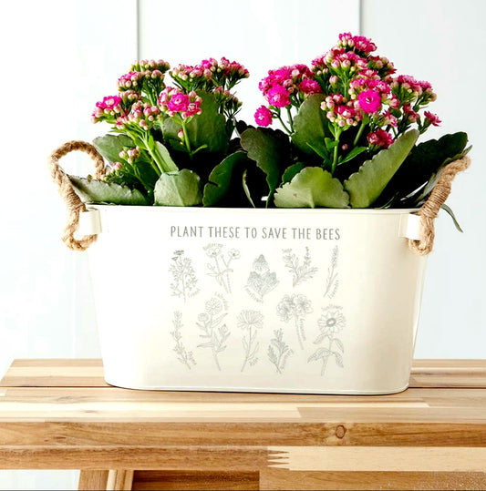 Engraved Planter For Our Bees FREE UK Delivery