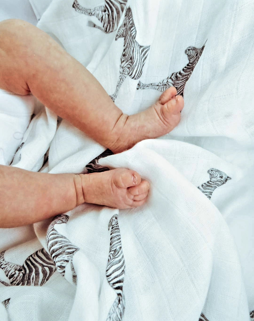 Bamboo & Cotton Muslin Swaddle - Zebra   FREE UK Delivery