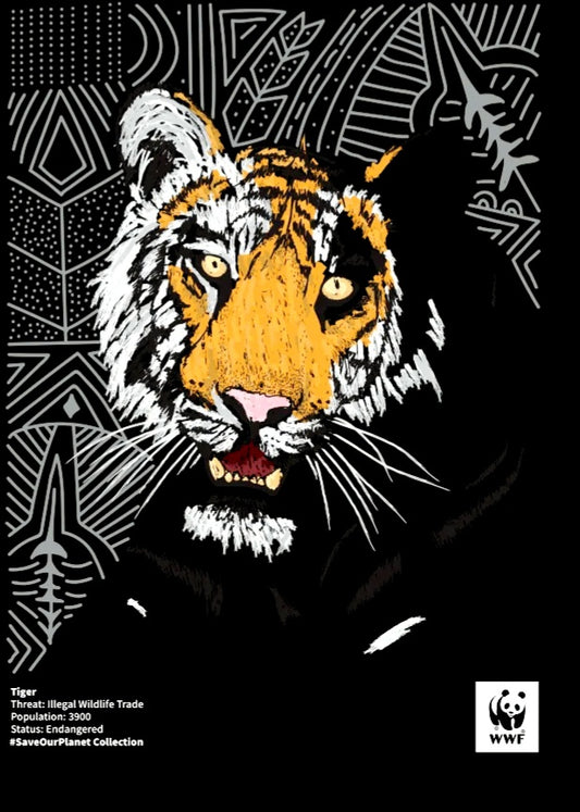 WWF Framed Tiger (in colour) Wall Art FREE UK Delivery
