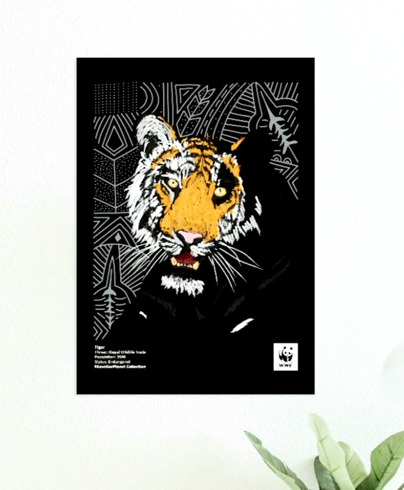 WWF Framed Tiger (in colour) Wall Art FREE UK Delivery